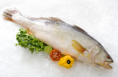 Peixes